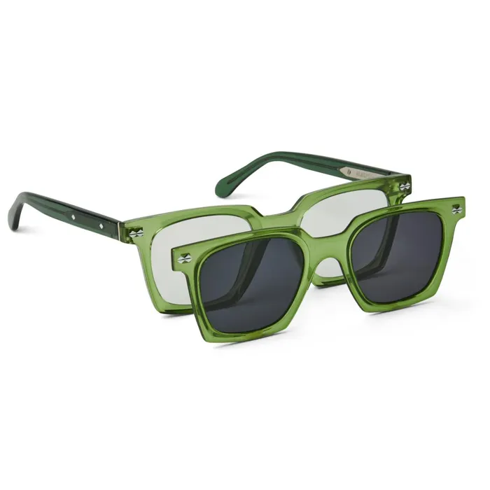 Alberto Sunglasses GREEN Women Bruno Magli Sunglasses