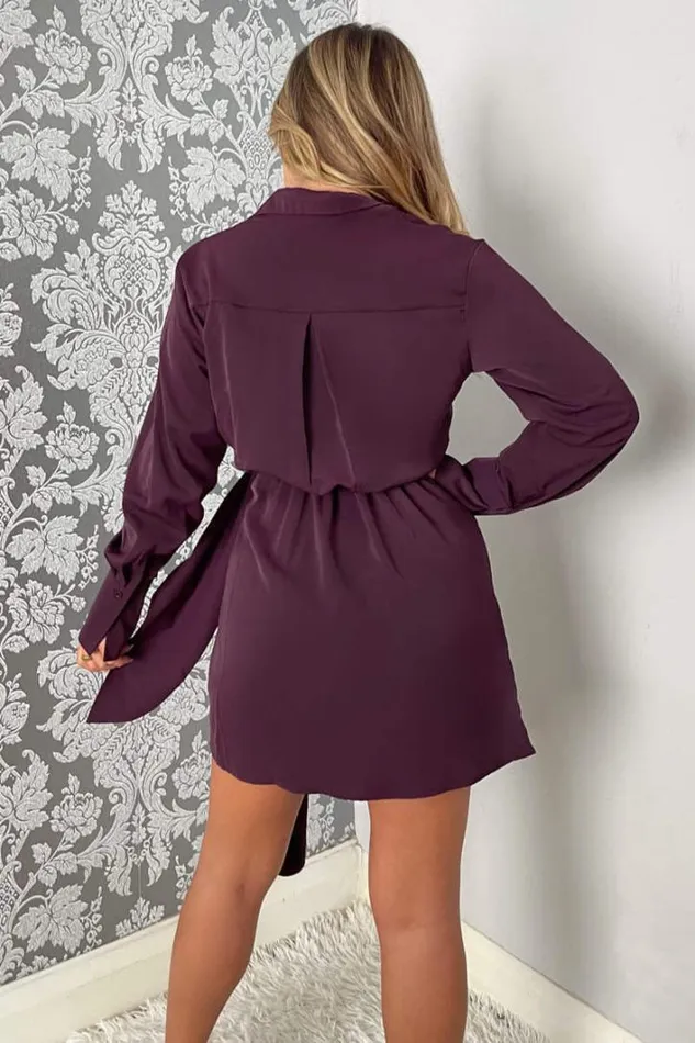 AX Paris Plum Tie Wrap Long Sleeve Mini Dress Dresses