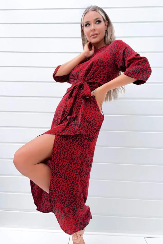 AX Paris Red And Black Animal Print Tie Front Midi Dress Dresses