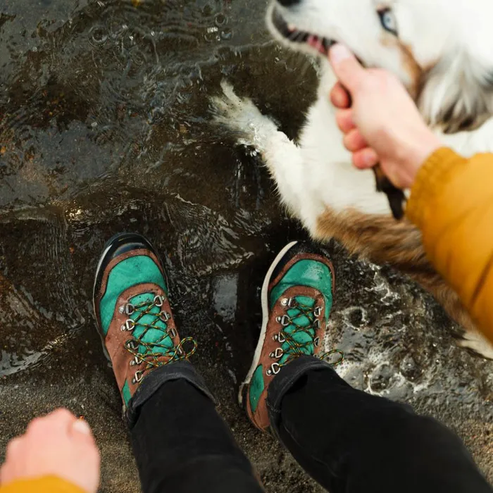 Danner Boots Free Spirit Dark Earth 8211 MenWomen