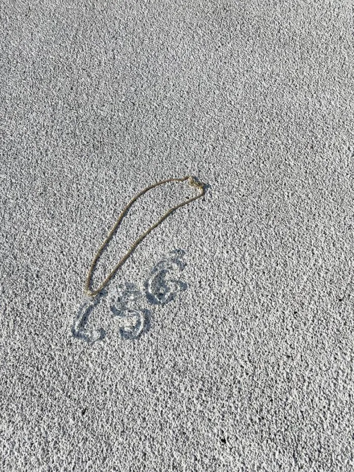 Jewelry Shop Lisa Says Gah Initial Necklace