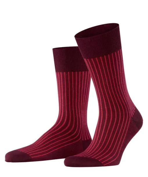 Men Oxford Stripe Men Socks Barolo FALKE Socks