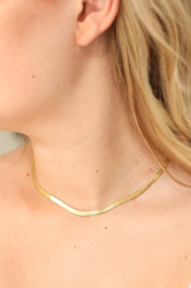 Snake Necklace 8211 Gold Plated Women Cras Jewellery
