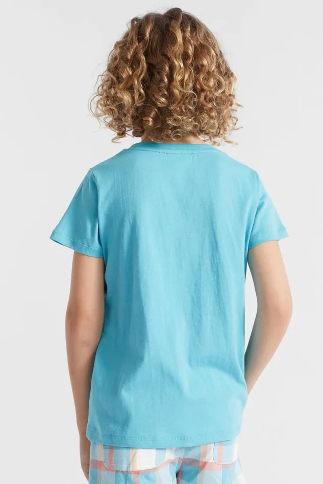 TShirts and Tops Boy Seed Heritage Skateboard Tee Maui Blue