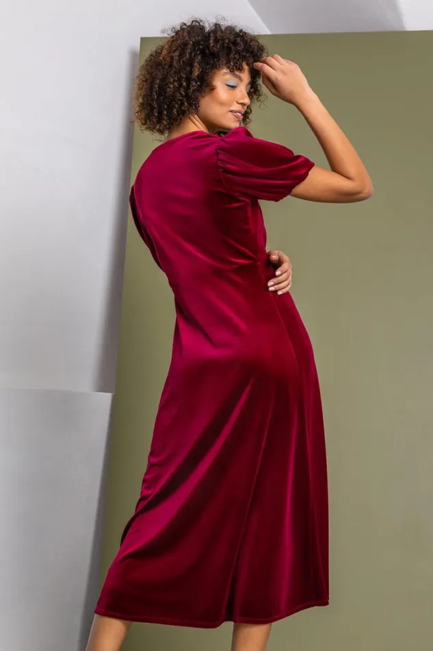 Wine Velvet Button Detail Fit and Flare Dress Women Roman Dresses
