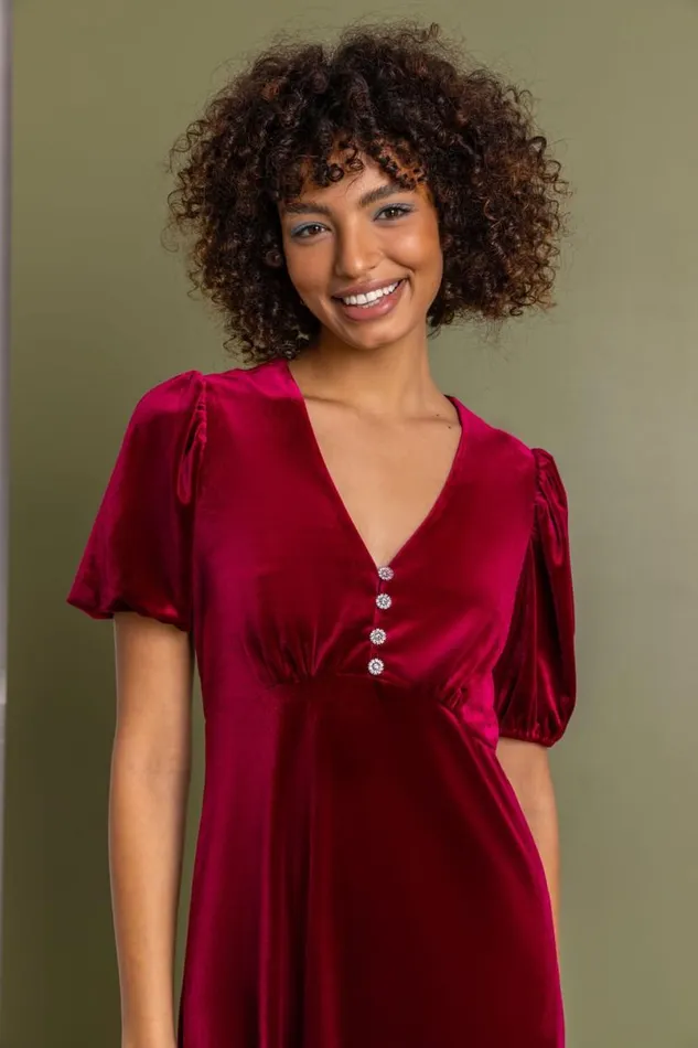 Wine Velvet Button Detail Fit and Flare Dress Women Roman Dresses