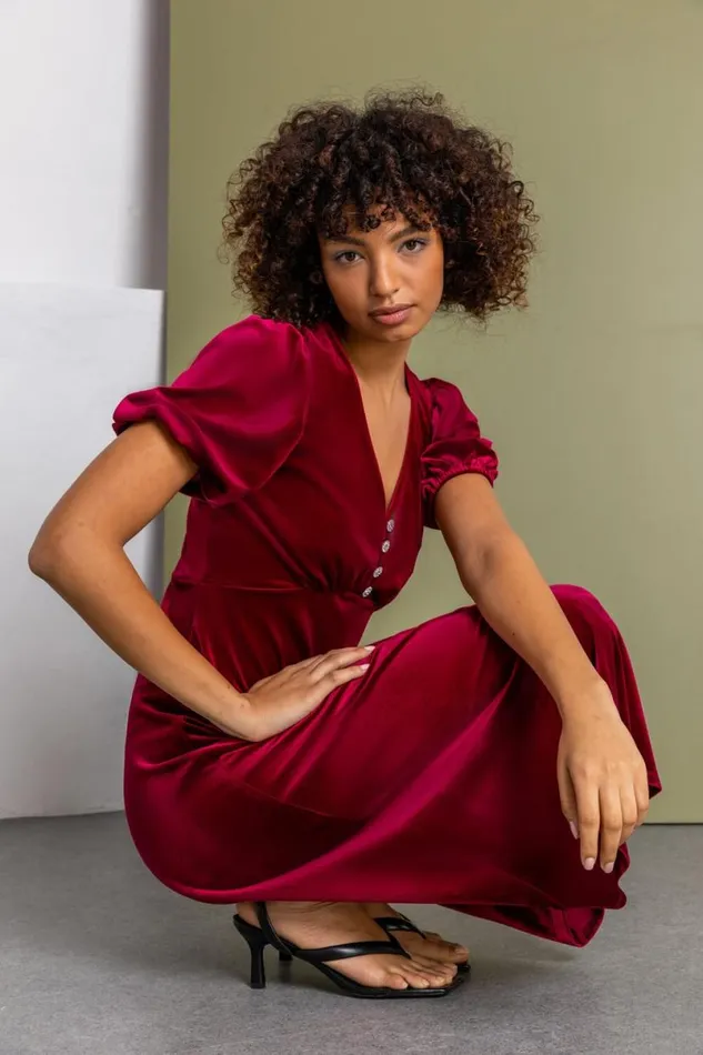 Wine Velvet Button Detail Fit and Flare Dress Women Roman Dresses