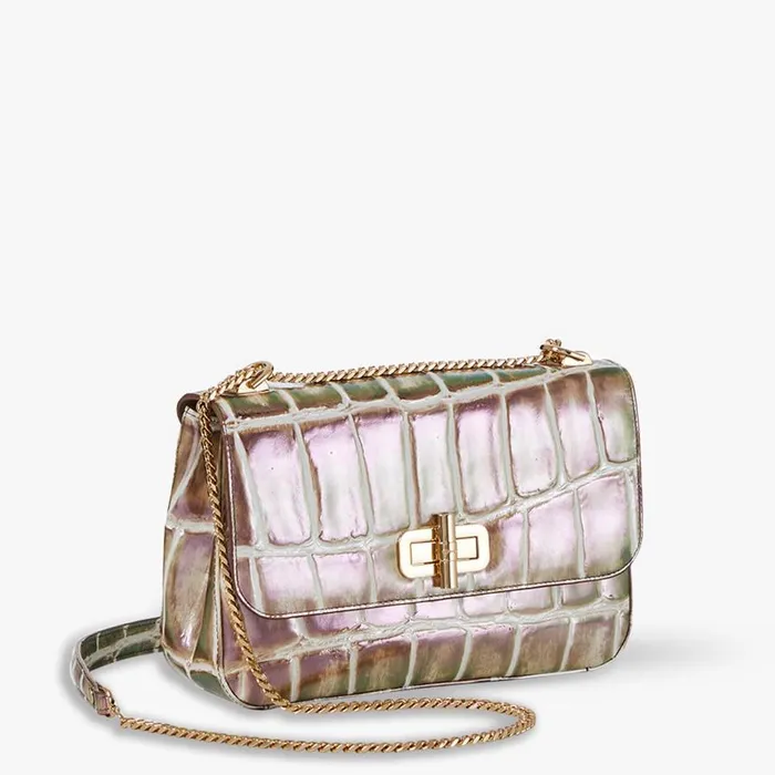 Women Brahmin Crossbodies Rosalie Birch Nerina