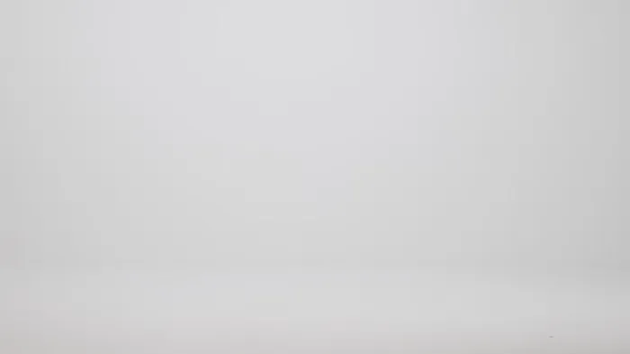 Women Brahmin Satchels Caroline Mellow Rose Jessamine