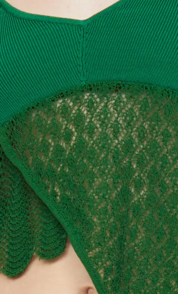 Women Tops Bec Bridge BREEZE HALTER CROP TOP Pine Green